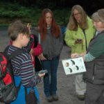 Bats ID