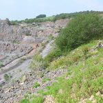 Nigel Taylor Westbury Quarry