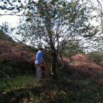 BlackDownNOV2014sm