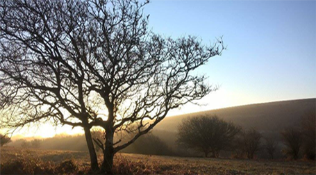 Nature and Beauty - Mendip AONB