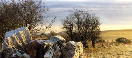 Mendip Rock - Mendips AONB