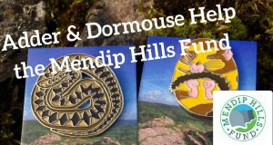 Mendip Hills Fund Badges 2017