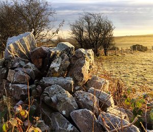 Rocks - Mendip AONB