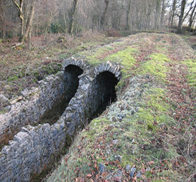 charterhouse flues