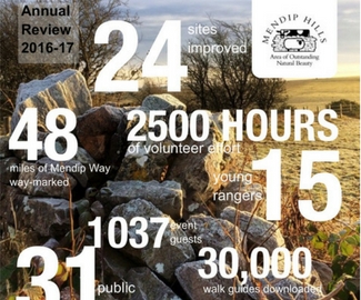 Despite the Changes: Annual Review 2016 -17