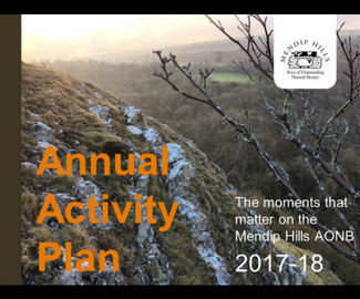 Annual Review Reveals the Real Value of Volunteers