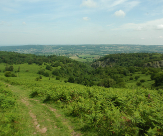 Bracken spraying on Burrington Common