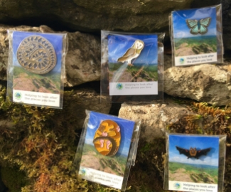 Barn Owl Badge Takes Flight to Help the Mendip Hills Fund