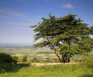 Draft Mendip Hills AONB Management Plan 2019-24 – Formal Consultation