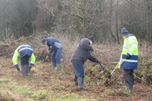 International Volunteer Day 2018