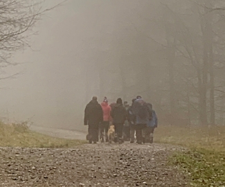 Christmas Walkers enjoy Mendip Experience