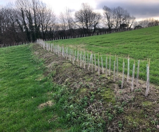 Farmers urged to bid online for Flood Work