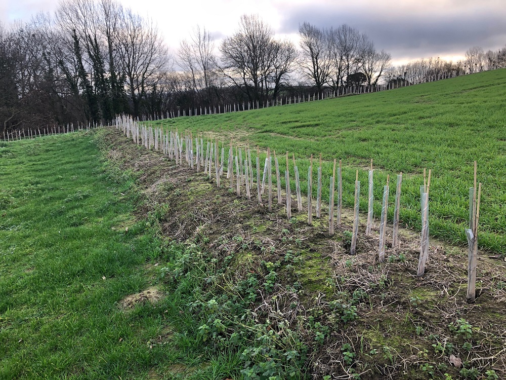 Farmers urged to bid online for Flood Work