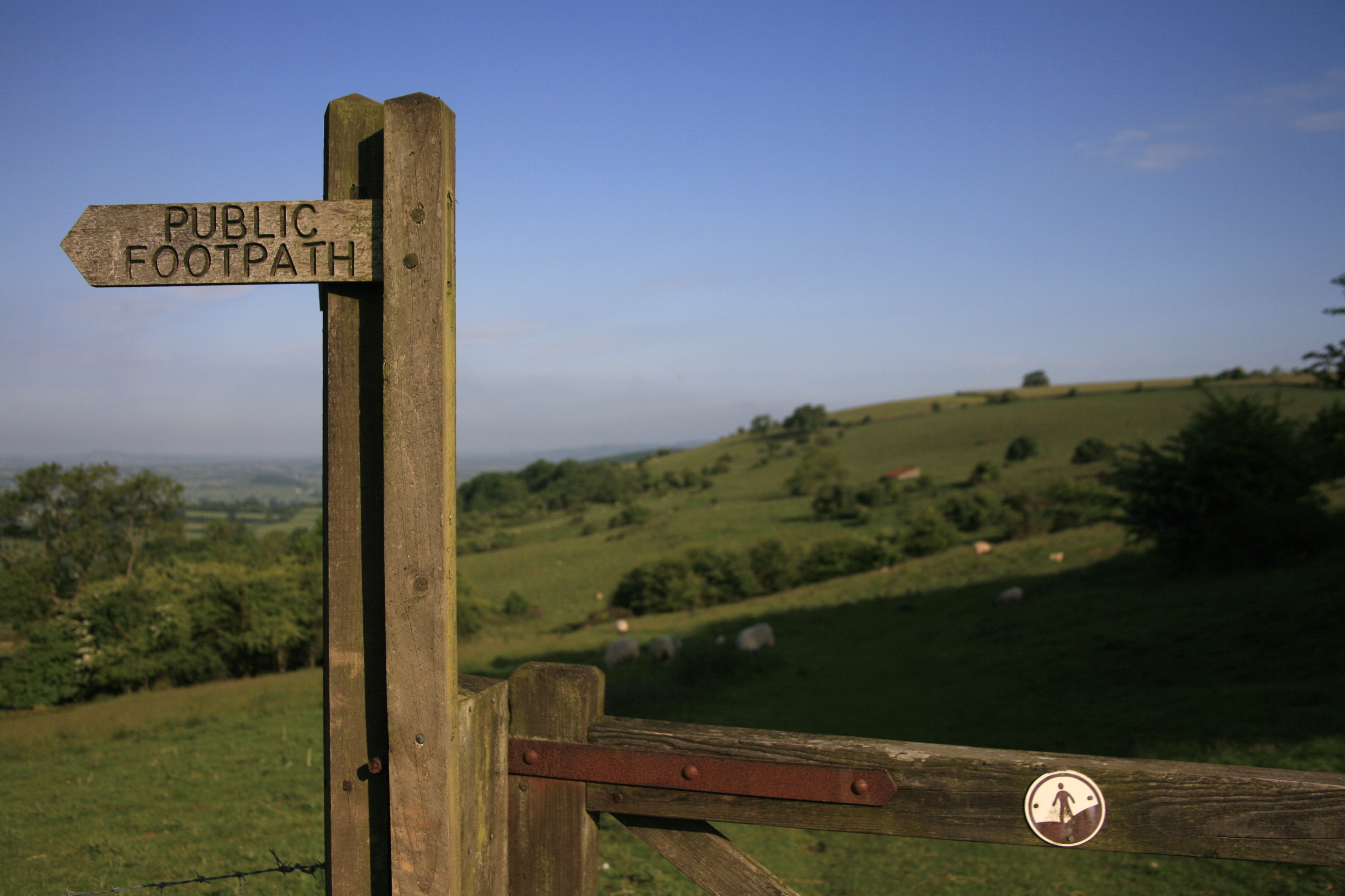 DeerLeap Gate to Field