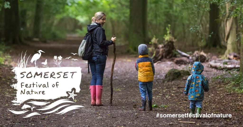 Somerset Festival of Nature to celebrate Somerset’s Natural Environment