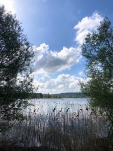 Chew Valley Lake