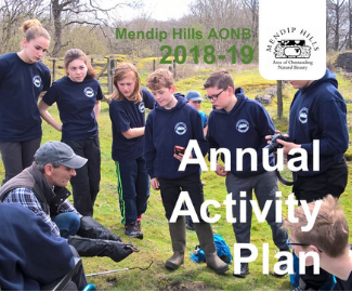Annual Review 2018-19