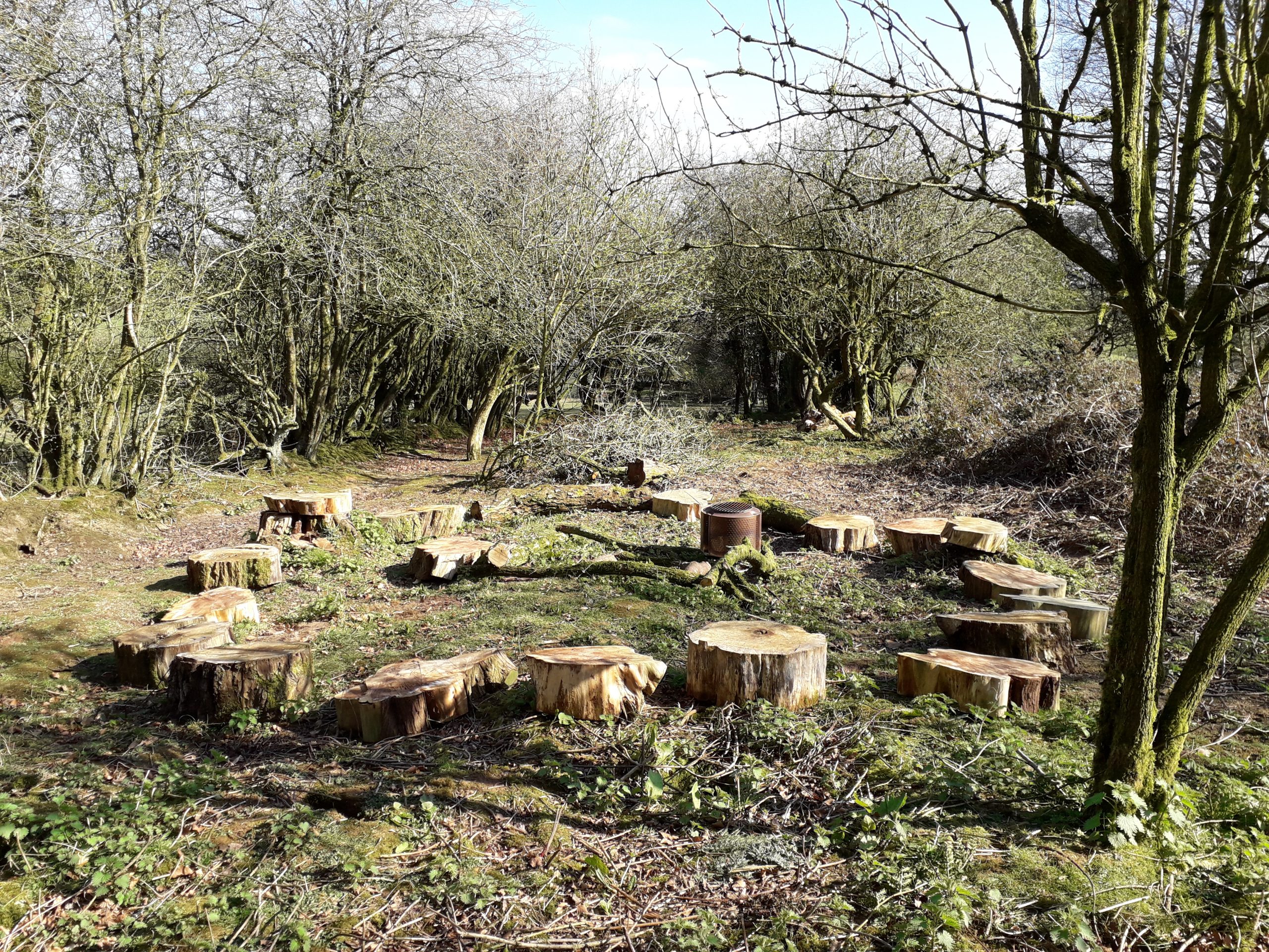 Priddy Forest School
