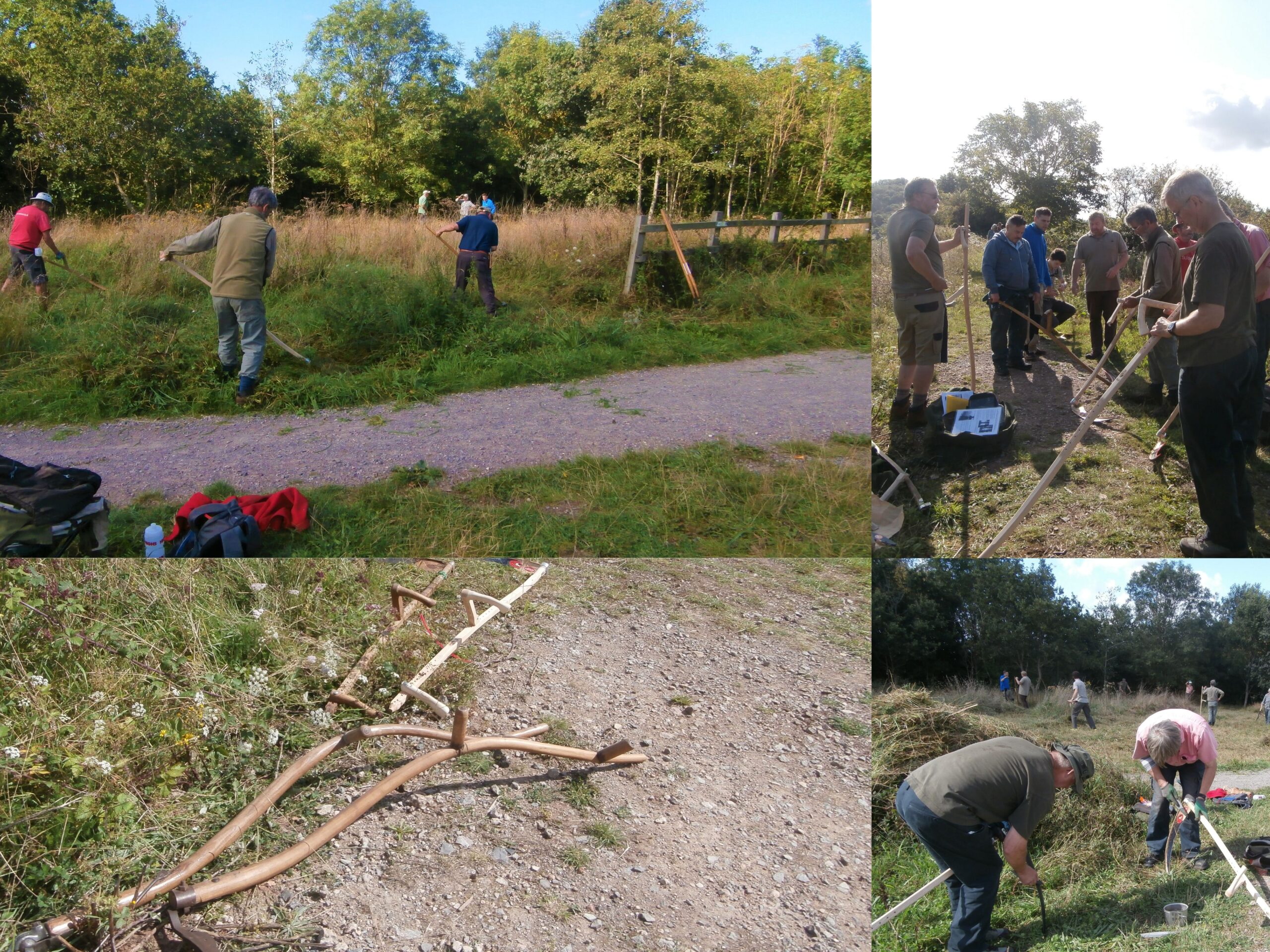 People using scythes cutting grass next to the Strawberry Line