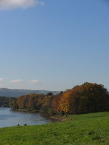 Mendip Hills AONB - Lake