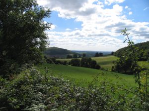 Views towards Crook Peak over fields
