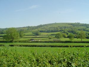 Mendip Hills
