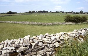 Fields defined with drystone walls