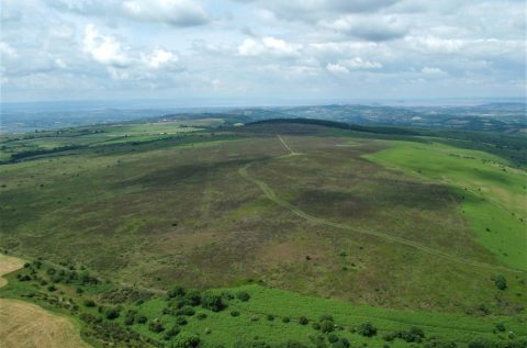 COVID-19 Update for the Mendip Hills AONB