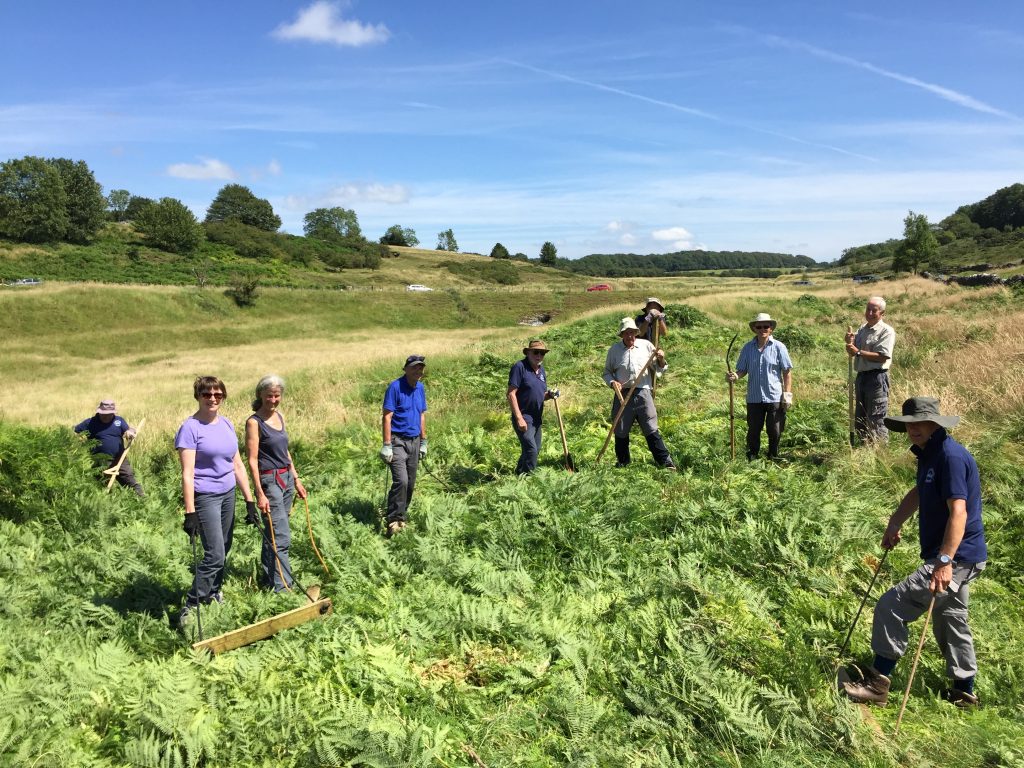 Mendip Hills AONB bags £1,166 from Tesco’s community grant scheme