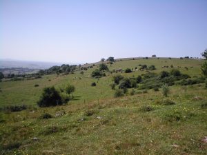 Views from Deer Leap across Southern slopes of the Mendip Hills