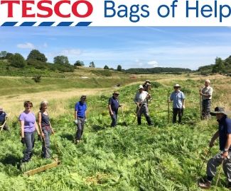 Mendip Hills AONB bags £1,166 from Tesco’s community grant scheme