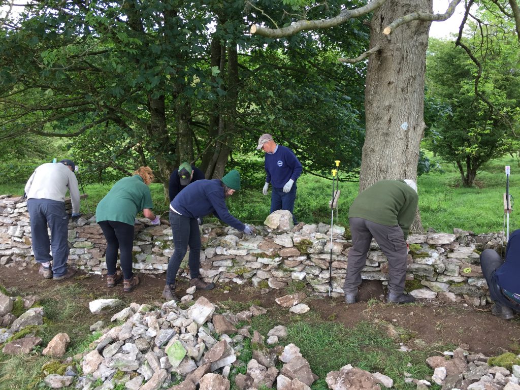 Group of volunteers repairing a drystone wall