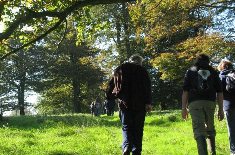 Nature & Wellbeing Project Manager Needed