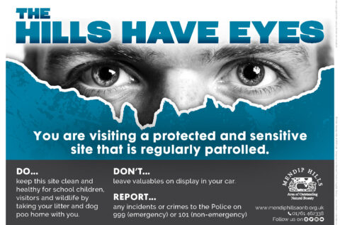 The Hills Have Eyes
