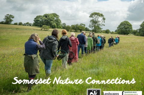 Partnership Project to Support Mental Health and Wellbeing in Somerset Through Nature