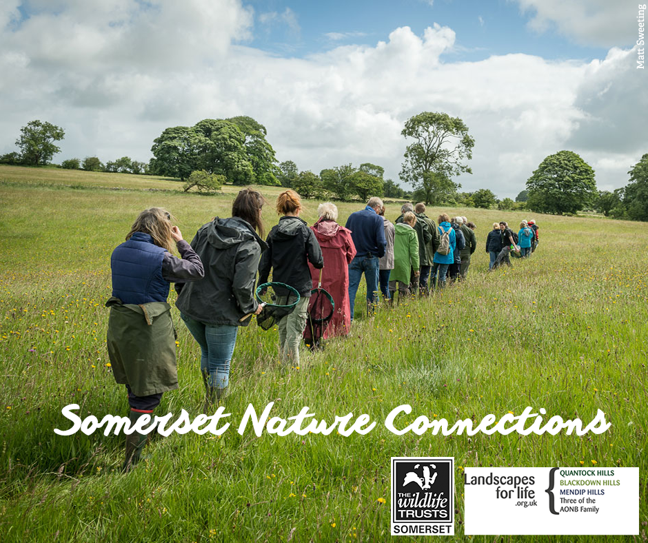Partnership Project to Support Mental Health and Wellbeing in Somerset Through Nature