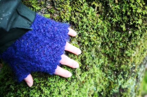 We’re recruiting for Somerset Nature Connections Project Officers
