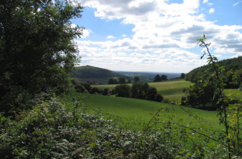 Somerset’s Areas of Outstanding Natural Beauty receive grant of £248,900 from the government’s Green Recovery Challenge Fund