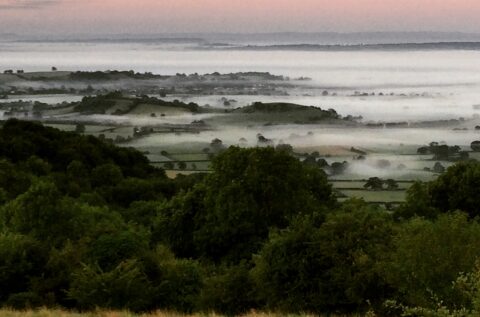 Mendip District Council and AONB Unit partnership to plant 500+ trees