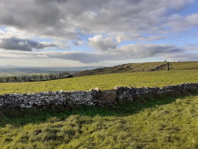 Stone stile in a drystone wall