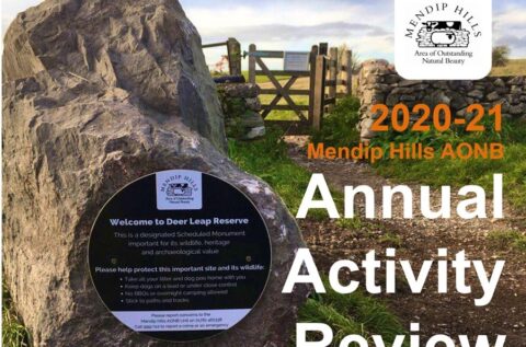 An Extraordinary Year on the Mendip Hills AONB