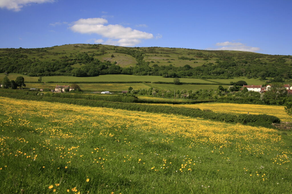 Mendip Hills AONB celebrate 50 year anniversary of its designation as one of England&rsquo;s most special places