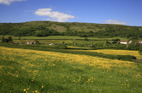 Mendip Hills AONB celebrate 50 year anniversary of its designation as one of England’s most special places