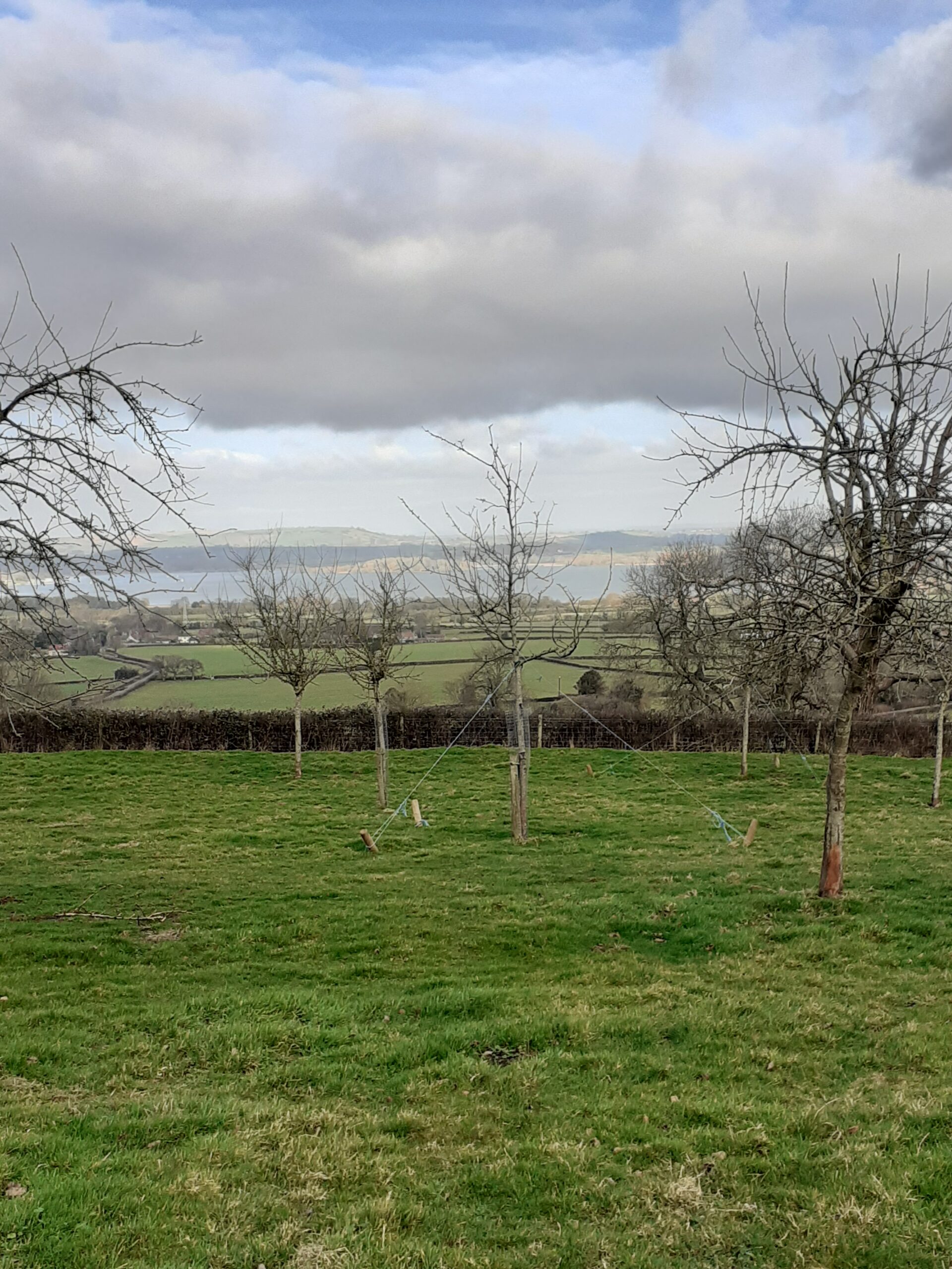 orchard overlooking chew valley lake