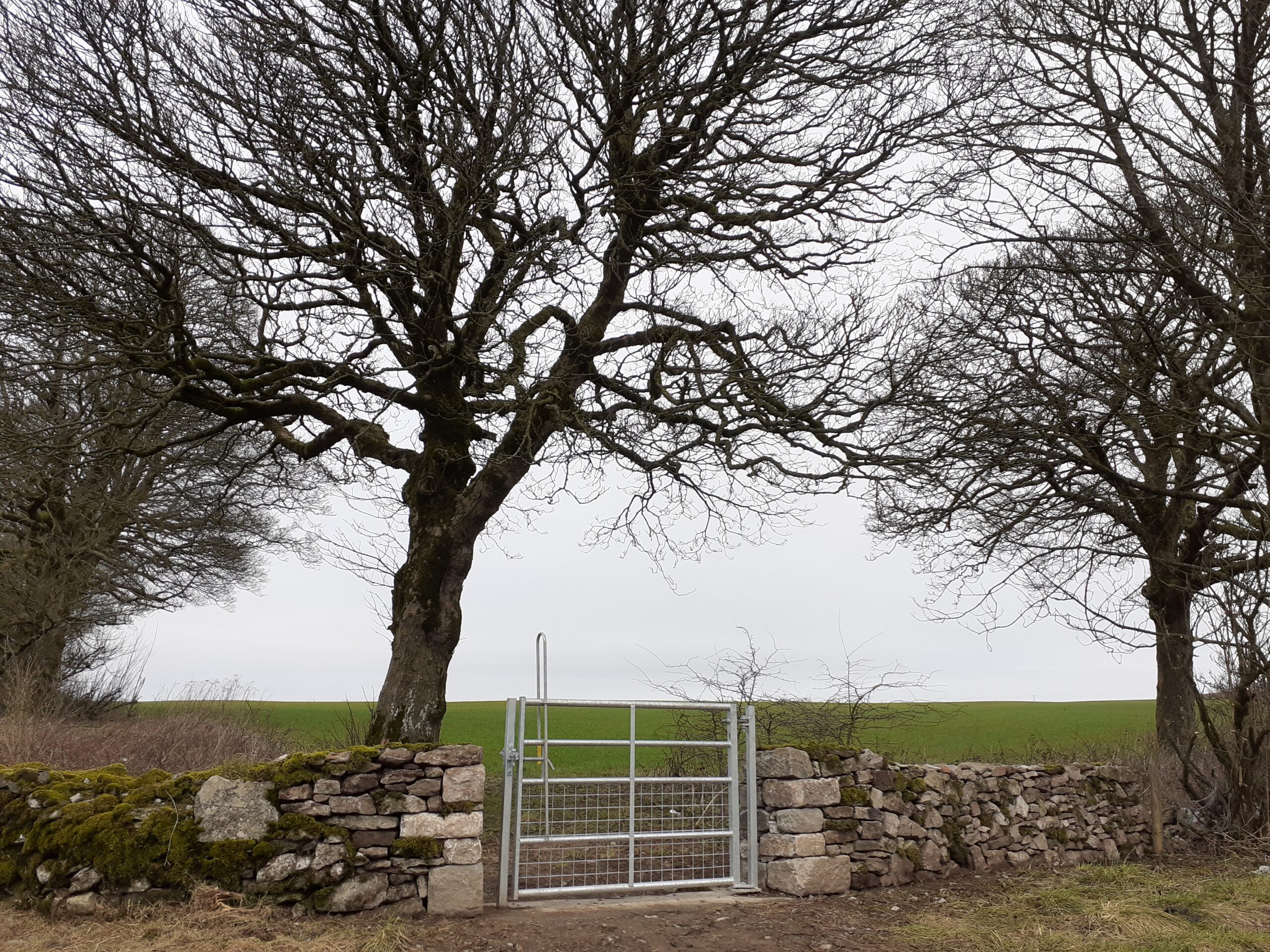 gate in a drystone wall