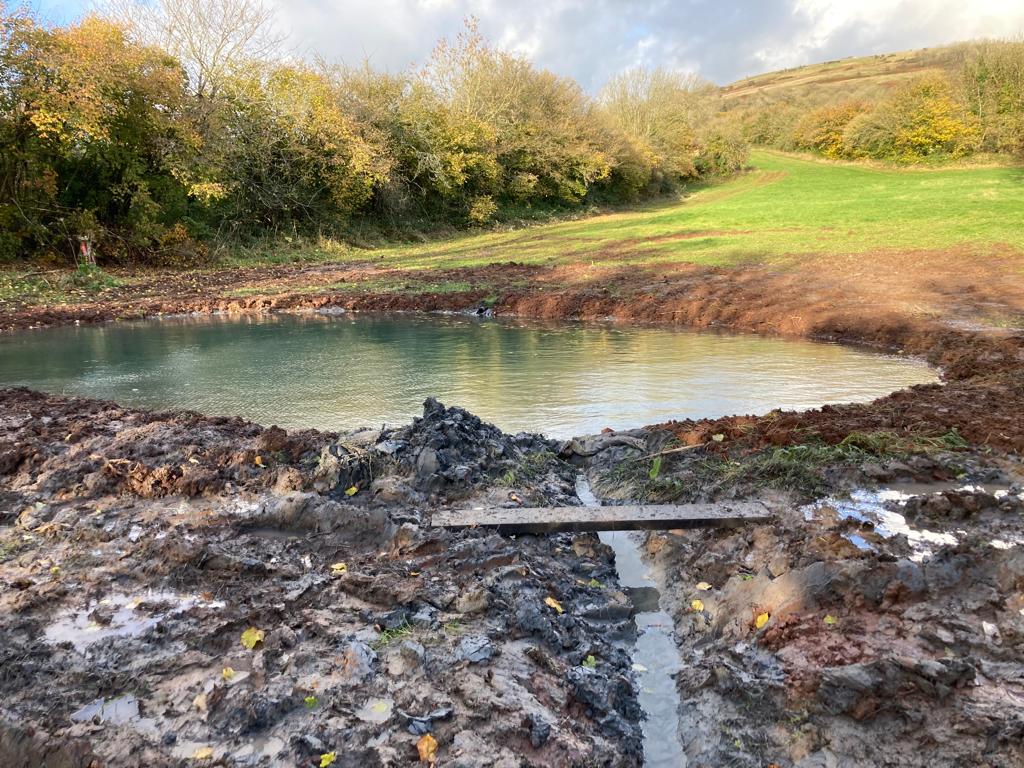 newly dug pond