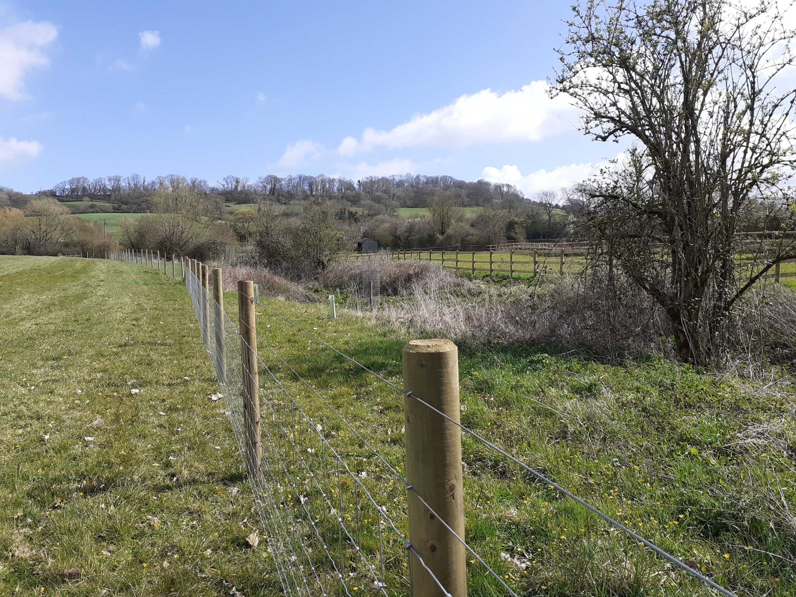 fence through a field creating a buffer strip