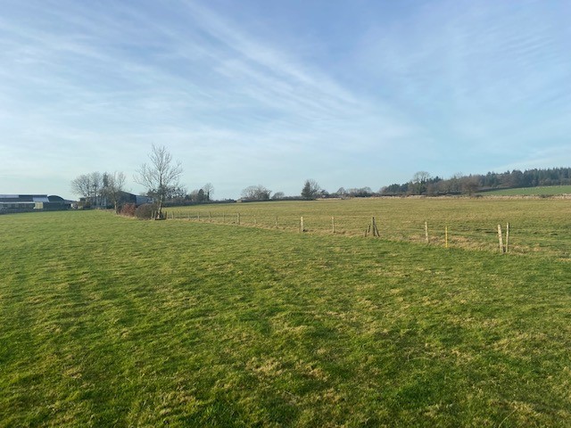 green fields with trees in the distance