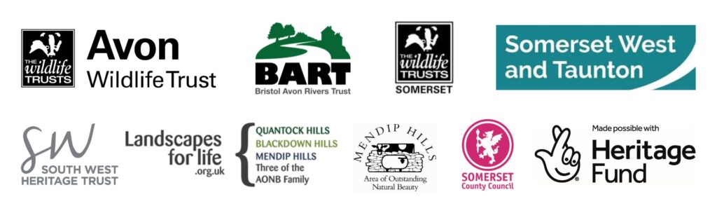 levels up partner logos