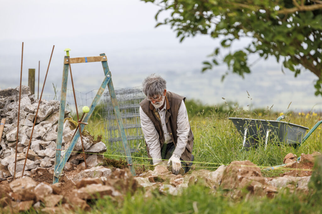 A volunteer re-building a drystone wall on south-facing grassland with views out from the Mendip Hills in the background